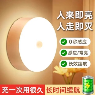 人体感应灯人来即亮人走即灭过道走廊夜间衣柜衣橱充电小夜灯新款