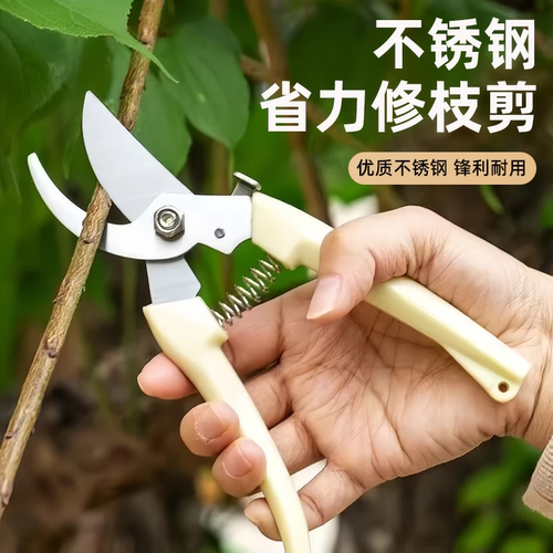 园艺剪刀修枝剪园林剪枝剪花艺修剪树枝剪刀家用省力花卉剪子工具
