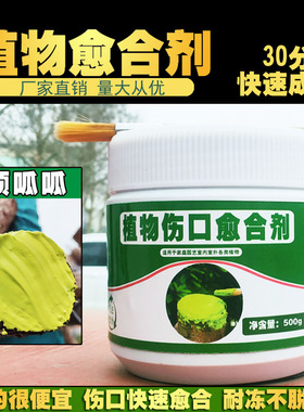 植物伤口创伤愈合剂涂抹膏涂补人工树皮果树盆栽移栽剪枝修剪大树