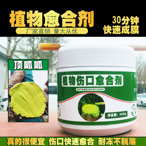 植物伤口愈合剂大树创口修复膏