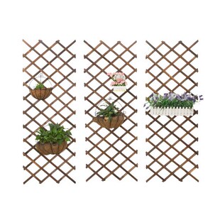 Vine Enclosure Flowe Metope Decoration Bambolo Fence