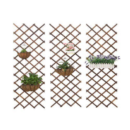 Enclosure Bambolo Fence Fence / Decoration Metope Vine Flowe