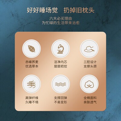 荞麦枕头维也纳酒店专用枕头偏硬不塌陷不M变形枕助睡眠单高枕侧