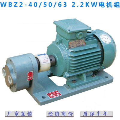 齿轮油泵电机装置WBZ(2)-405063卧式电机组