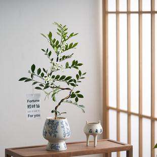 造型九里香盆栽夏季开花北欧办公室内绿植摆件花卉桌面植物盆景