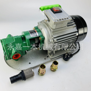 齿轮油泵WCB30 菜籽油泵 100 机油泵 Gear Oil Pumps