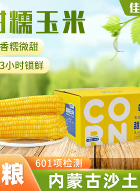 佳蔬乐低脂黄糯玉米新鲜现摘真空包装 内蒙古黏玉米非转基因八根