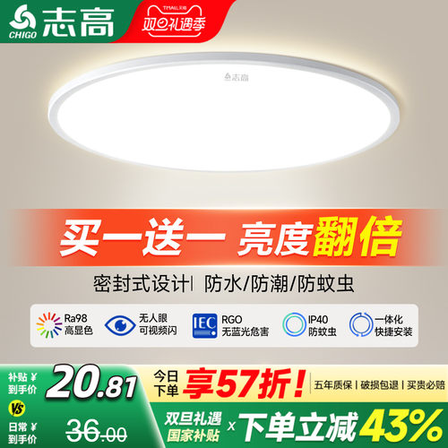 志高防蚊虫超薄卧室房间吸顶灯