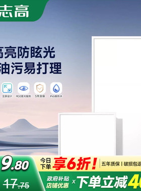 厨房集成吊顶灯300x600铝扣板灯厕所卫生间吸顶灯300x300平板灯