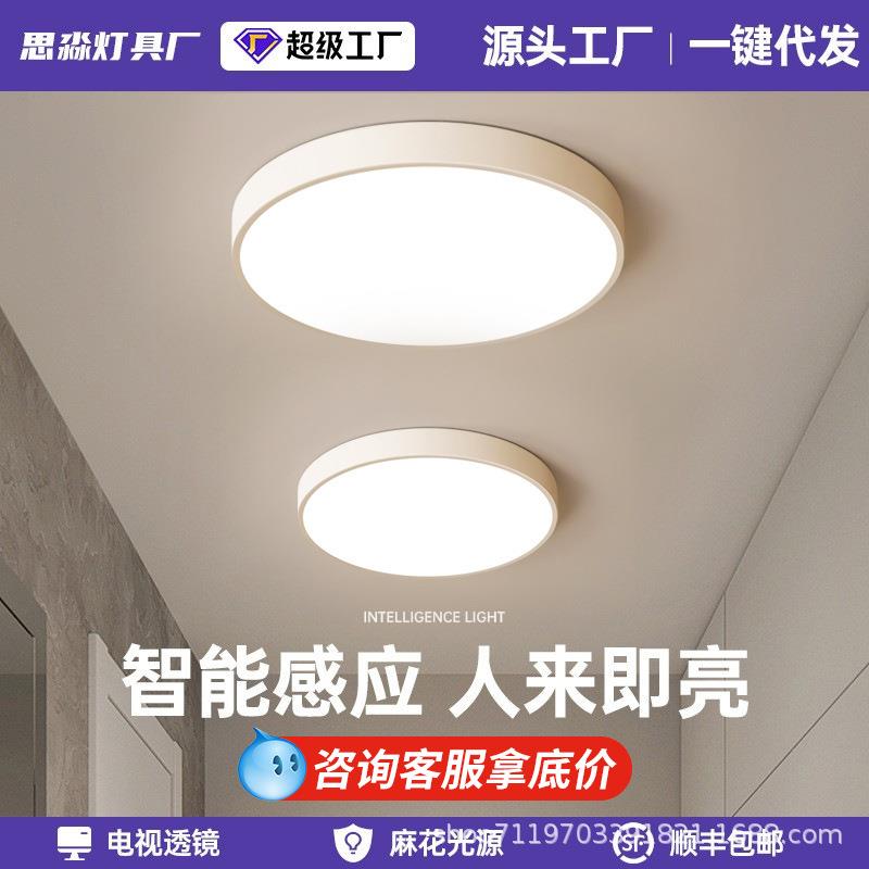 吸顶灯LED过道走廊灯具楼梯灯楼道玄关声控灯雷达人体感应灯