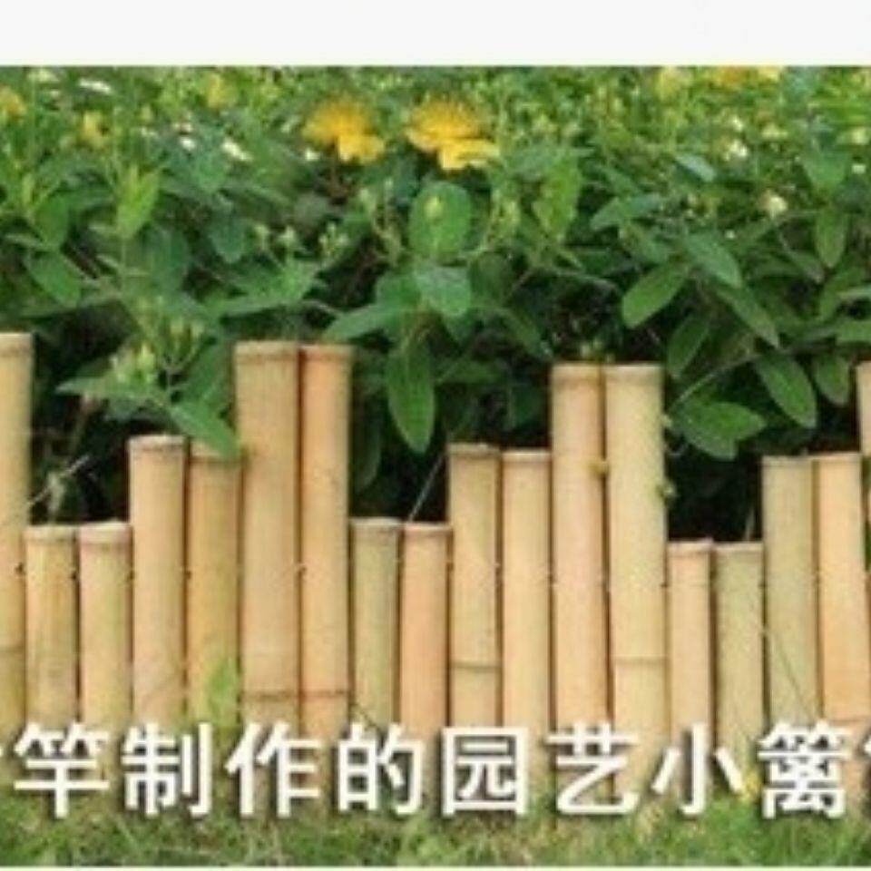 竹杆子2米3米4米民宿农家乐装饰吊顶竹竿竹子旗杆装修防腐