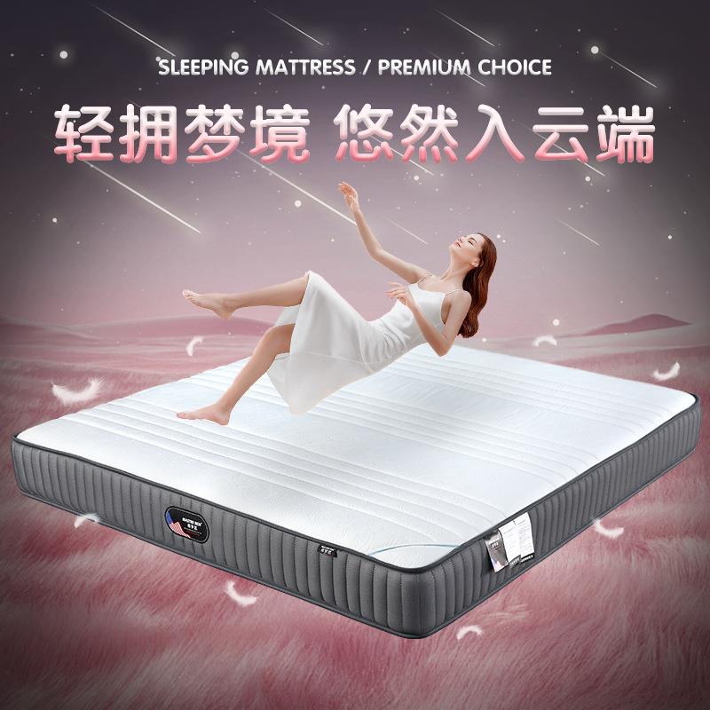 小户型家用卧室偏硬护脊双人床垫亲肤玫瑰绒整网弹簧床垫席梦思