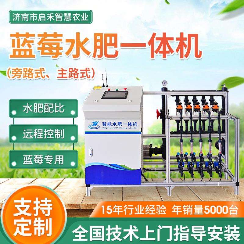 蓝莓草莓施肥灌溉一体设备全自动灌溉无土栽培智能蓝莓水肥一体机