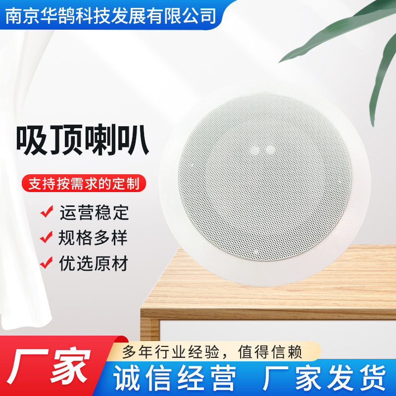 IP网络吸顶音箱吸顶喇叭吸顶音响公共广播设备可二次开发对接