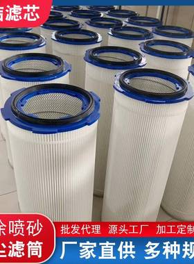 喷涂喷沙除尘滤筒滤芯防PTFE静电阻燃覆膜粉尘滤网
