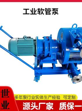 软管泵RGB挤压泵混凝土水泥输送泵发泡泵注浆泵生产优惠