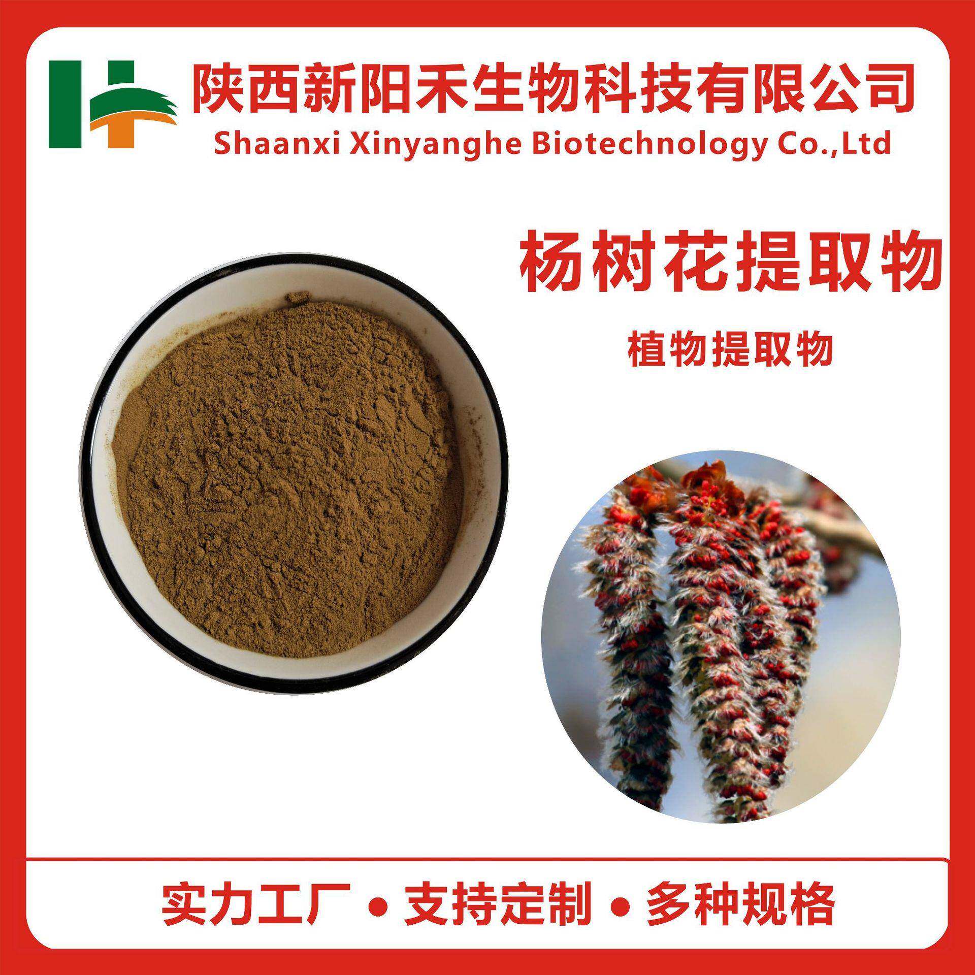 杨树花提取物水溶杨树花粉毛白杨提取物毛白杨粉杨树花多糖