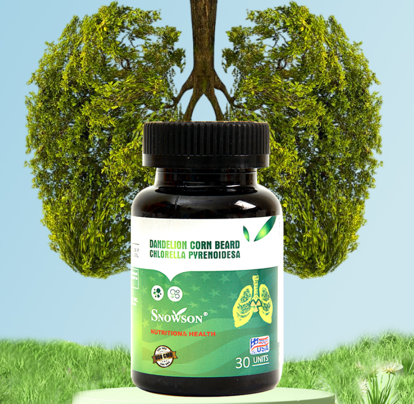 斯诺森牌散节宝蒲公英玉米须蛋白核小球藻粉 美国原装进口