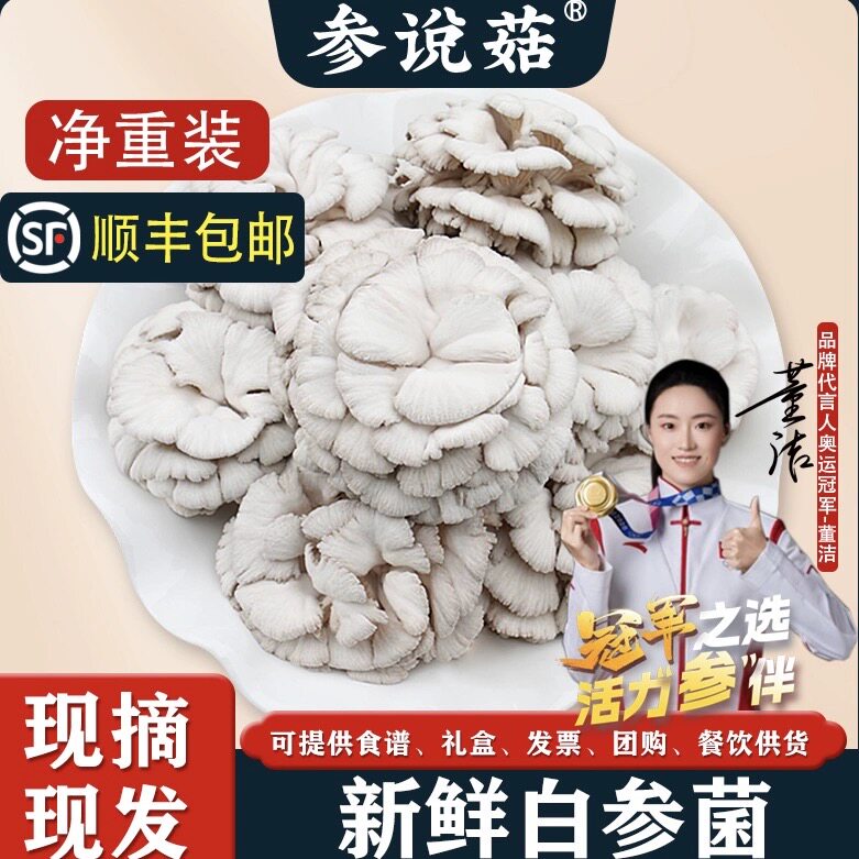 【顺丰发货】参说菇精选新鲜白参菌鲜菇现摘现发绿色食品产地直发