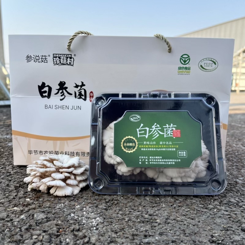 【顺丰发货】 参说菇精选新鲜白参菌现摘现发120g/盒4盒/箱礼盒装