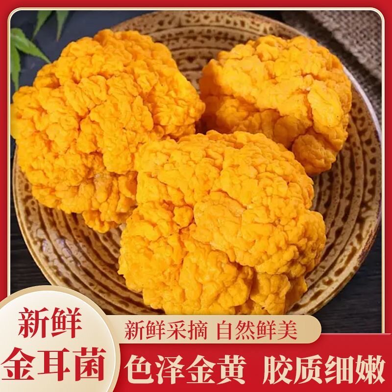 【可批发】参说菇精选新鲜金耳菌鲜菇无添加现摘现发刺身金耳羹 - 实物图