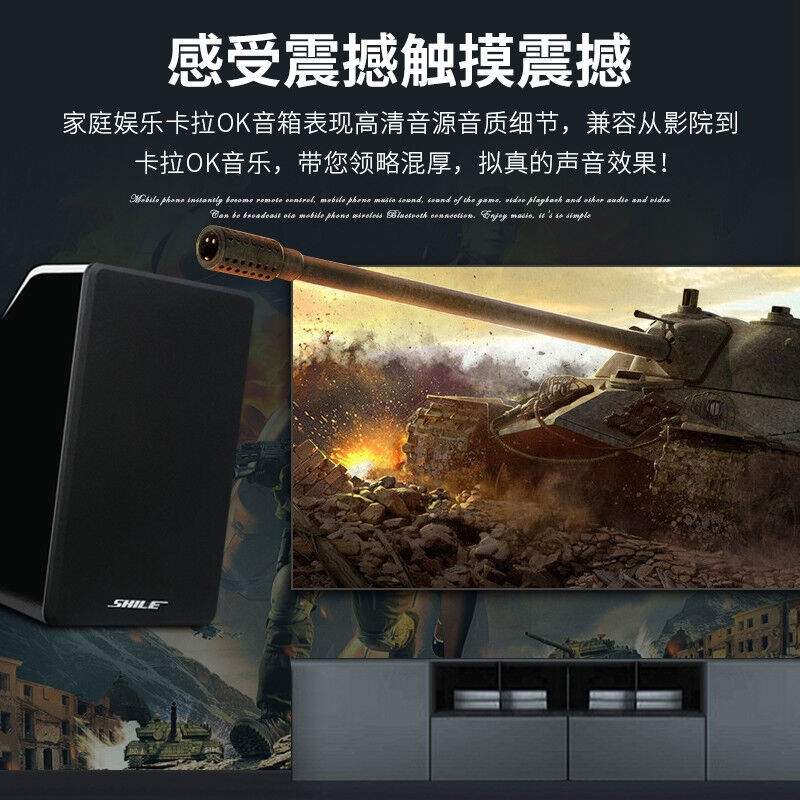 狮乐(SHILE)BG-8会议音响壁挂8英寸倾斜式音箱培训室会议室家用