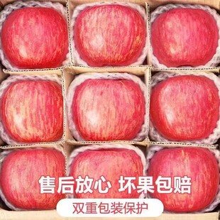 正宗陕西洛川苹果水果新鲜当季 整箱红富士冰糖心一级脆甜9斤A