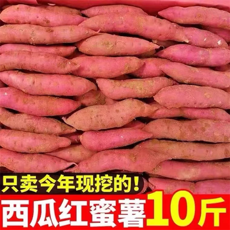 正宗农家烟薯25号红薯9斤糖心蜜薯新鲜自种很甜番薯山芋地瓜山芋