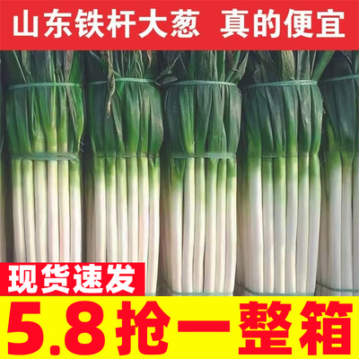 大葱章丘大葱新鲜铁杆长葱