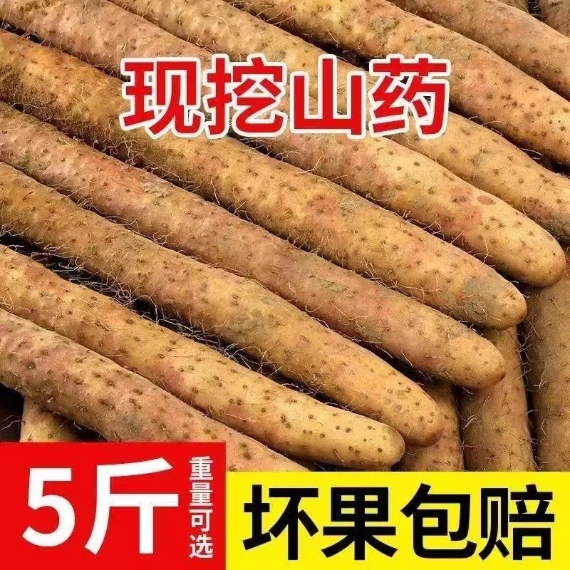 新鲜山药5斤装 正宗铁棍山药河南焦作垆土怀山药铁杆淮山药包邮