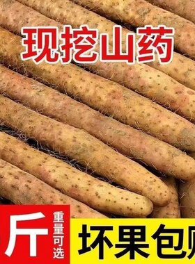 新鲜山药5斤装正宗铁棍山药