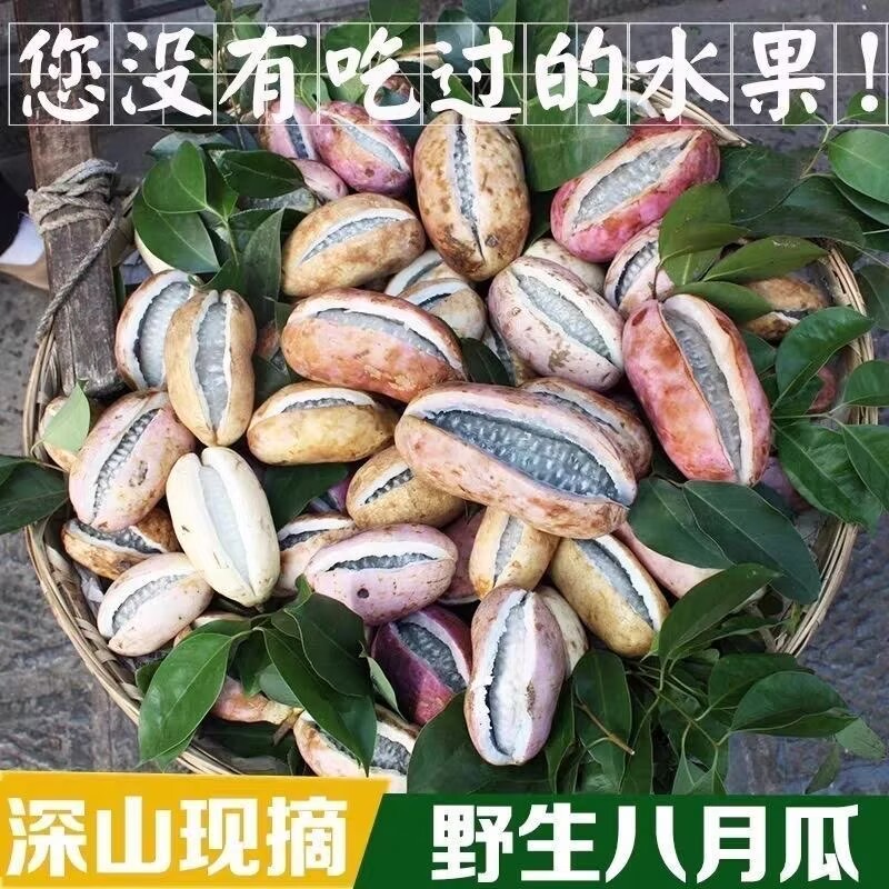 新鲜八月瓜水果八月炸野果