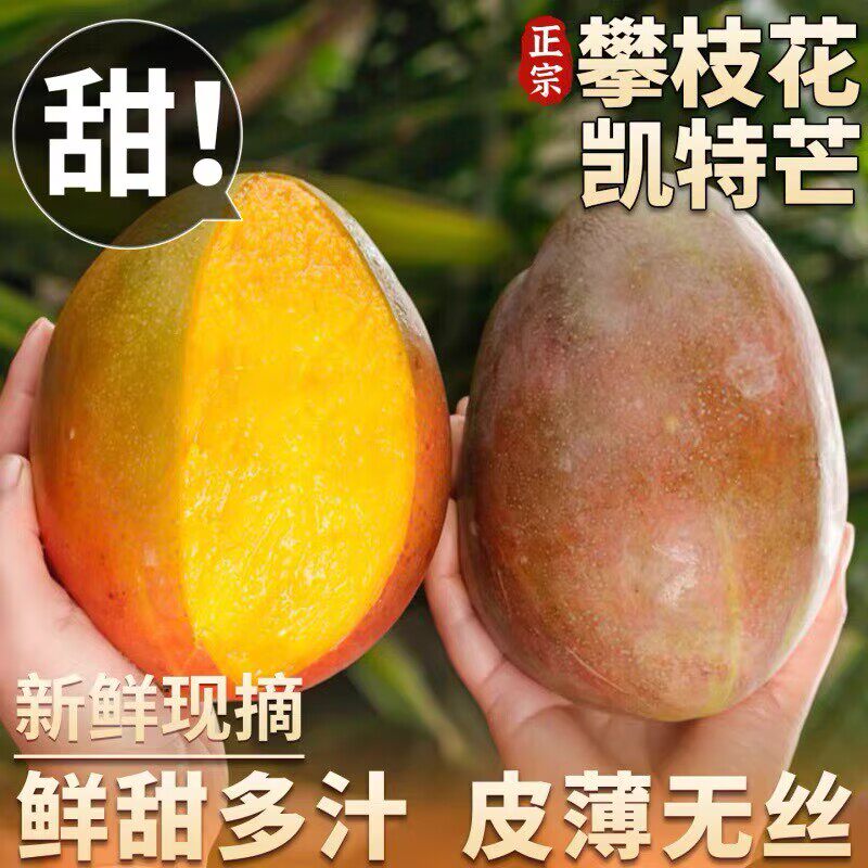 【现货凯特芒】四川攀枝花凯