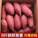 沙地蜜薯新鲜红薯9斤小香薯西瓜红烟薯2号5薯板栗烤地瓜糖心小番