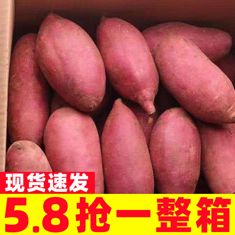 正宗农家烟薯25号红薯