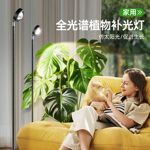 植物补光灯彷太阳全光谱室内多肉上色模拟光合作用绿植专用生长灯