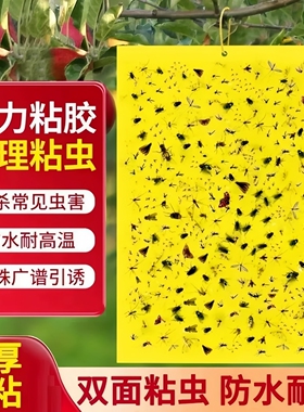 黄色双面粘虫板贴纸强力小飞虫沾果蝇诱捕神器捉蚊子苍蝇农用环保