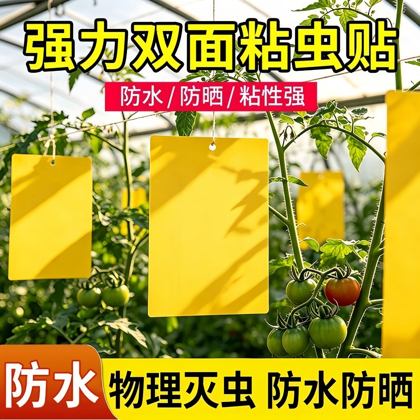 特厚粘虫板黄板双面菜园专用