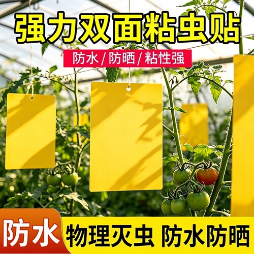 特厚粘虫板黄板双面菜园专用