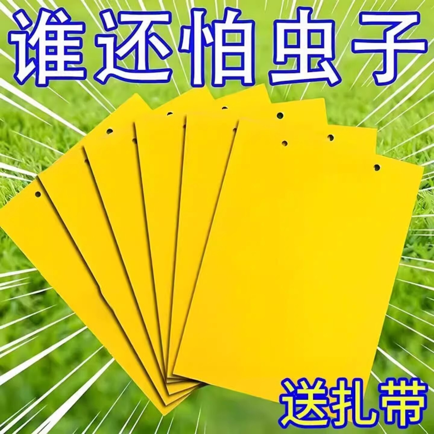 双面粘虫黄板诱虫板柑橘子树瓜果实蝇针蜂粘苍蝇贴粘虫板蓟粘虫板