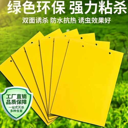 双面粘虫黄板诱虫板果园