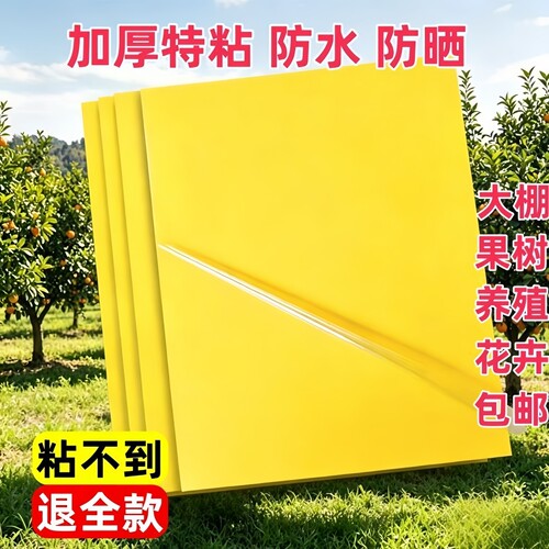 双面粘虫黄板诱虫板果园大棚