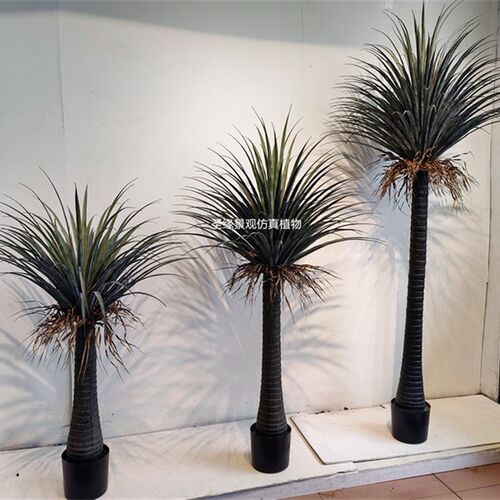 仿真龙血铁树北美凤尾龙舌兰树丝兰树盆栽龙须树热带绿.植造景装