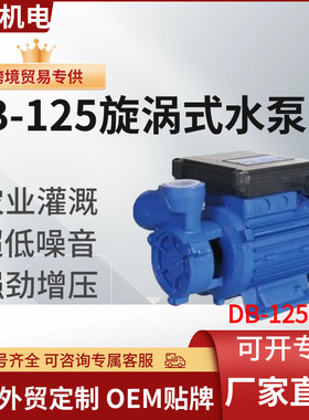 外贸专供DB-125旋涡离心泵高扬程220v/110v DB-125 water pump
