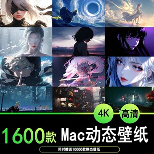 Mac电脑4K高清动态壁纸1600款动态二次元动漫女生风景持续更新