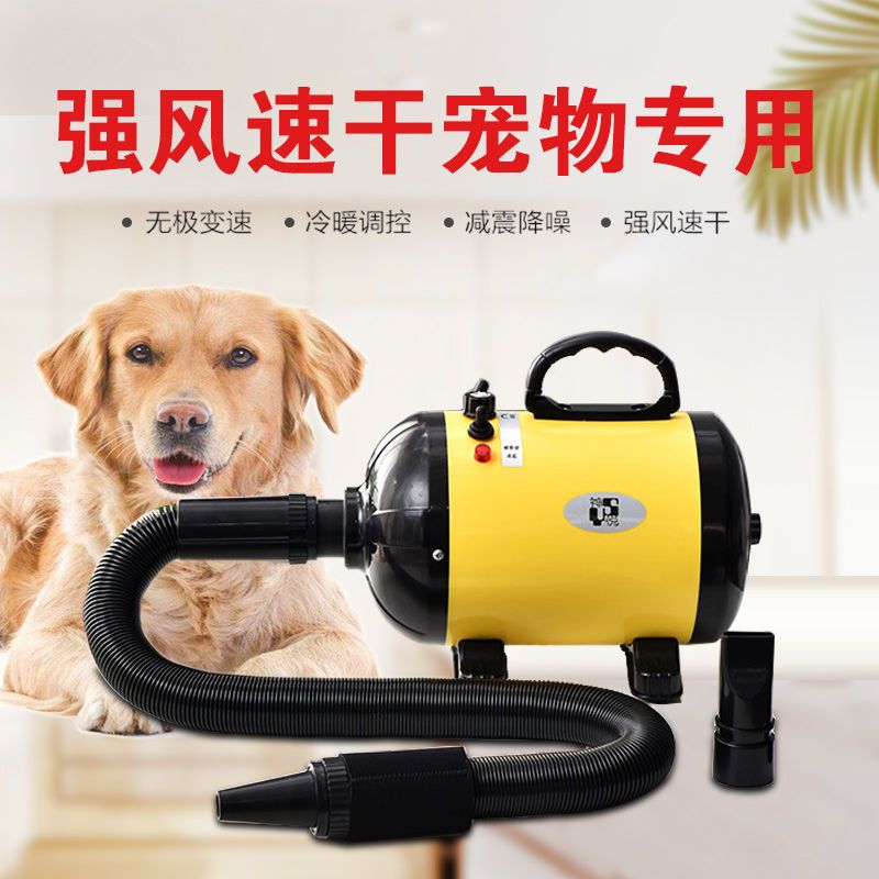 宠物狗狗洗澡吹水机中大型犬猫咪专用大功率宠物店家用吹毛机神器