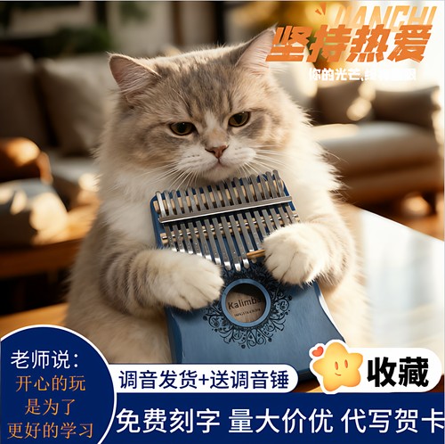 17音便携式乐器女生正品拇指琴21音简单的乐器小乐器简易冷门乐器