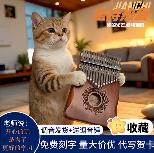 音乐乐器17拇指钢琴简单好学的乐器老人乐器迷你乐器儿童小众乐器