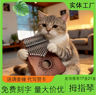 21音便携手指琴初学者刻字生日礼物17音木质高颜值卡林巴拇指琴