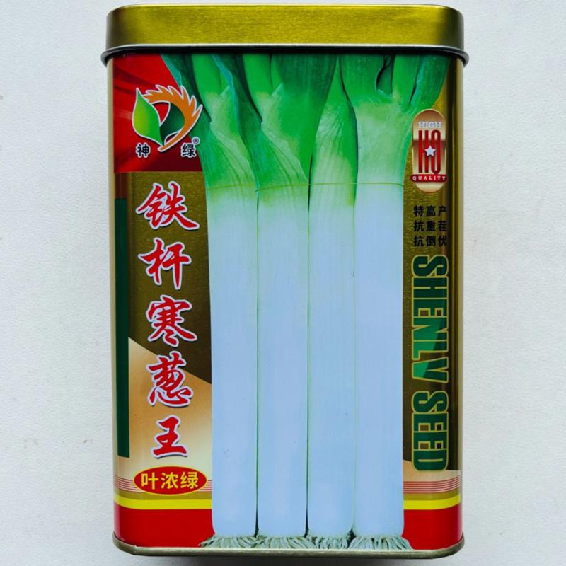 铁杆寒葱王王大大葱种子章丘中华巨葱香葱耐热抗寒春季秋冬四季